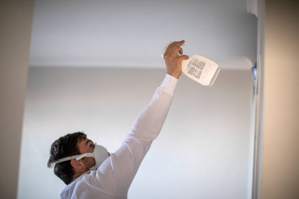 Best Attic Mold Removal  in Gulf Shores, AL