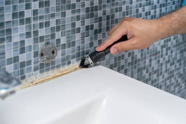 Best Professional Mold Removal  in Gulf Shores, AL